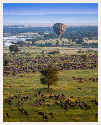Hot Air Balloon Flights