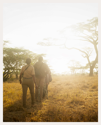 Walking Safaris